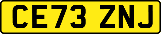 CE73ZNJ