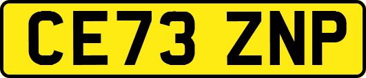 CE73ZNP
