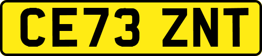 CE73ZNT