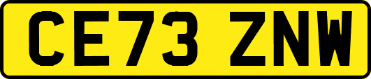 CE73ZNW