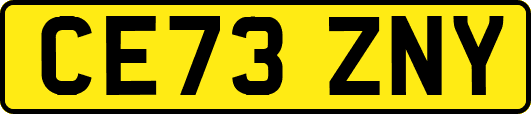 CE73ZNY