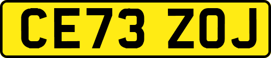 CE73ZOJ