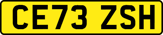 CE73ZSH