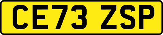 CE73ZSP