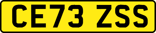 CE73ZSS