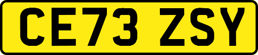 CE73ZSY