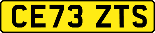 CE73ZTS