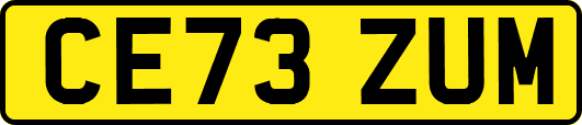 CE73ZUM