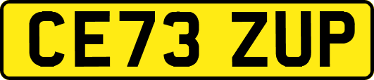 CE73ZUP