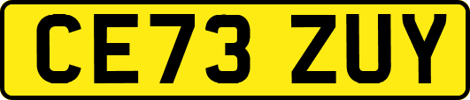 CE73ZUY