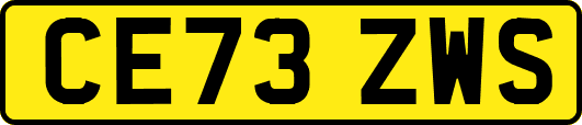 CE73ZWS