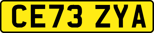 CE73ZYA