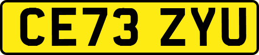 CE73ZYU