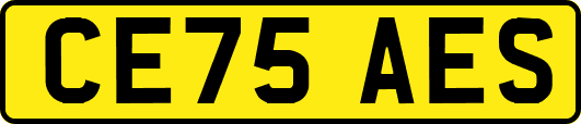 CE75AES