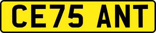 CE75ANT