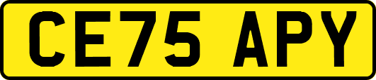 CE75APY