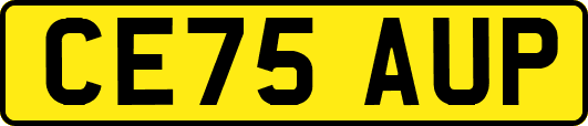 CE75AUP