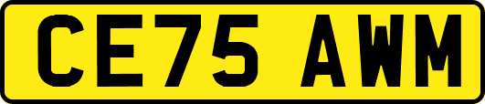 CE75AWM