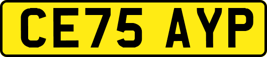 CE75AYP