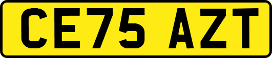CE75AZT
