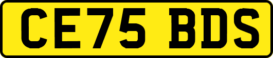 CE75BDS