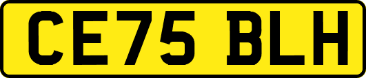 CE75BLH