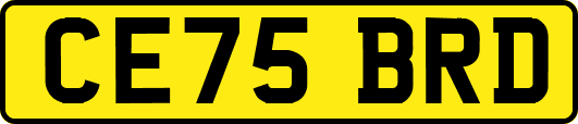 CE75BRD