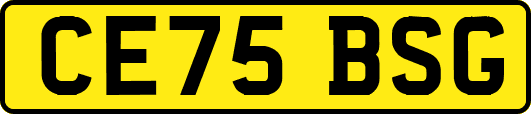 CE75BSG