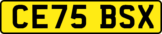 CE75BSX