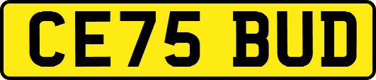 CE75BUD