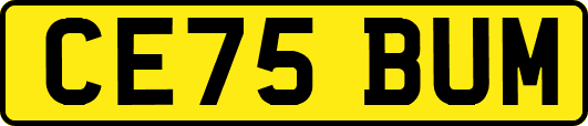 CE75BUM