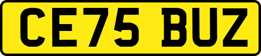 CE75BUZ