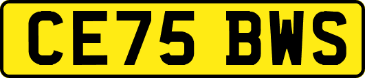 CE75BWS