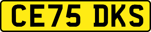 CE75DKS