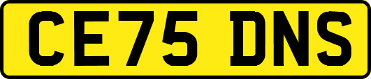 CE75DNS