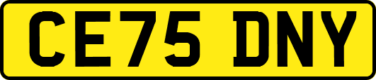 CE75DNY