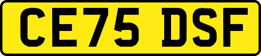 CE75DSF