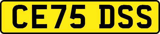 CE75DSS