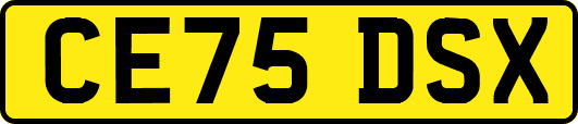CE75DSX
