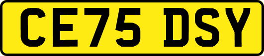 CE75DSY