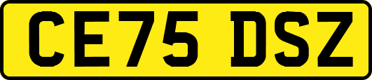 CE75DSZ