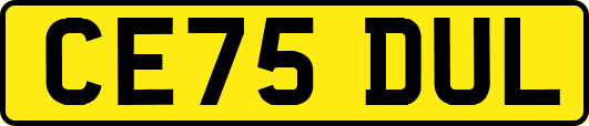 CE75DUL