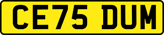 CE75DUM
