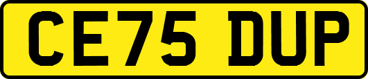 CE75DUP