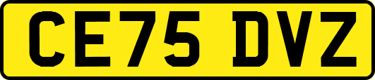CE75DVZ