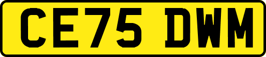 CE75DWM