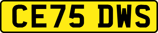 CE75DWS