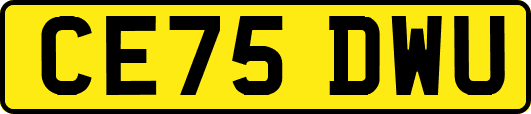 CE75DWU