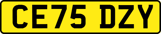 CE75DZY