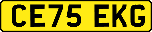 CE75EKG
